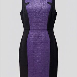Milly Elegant Purple and Black Dress